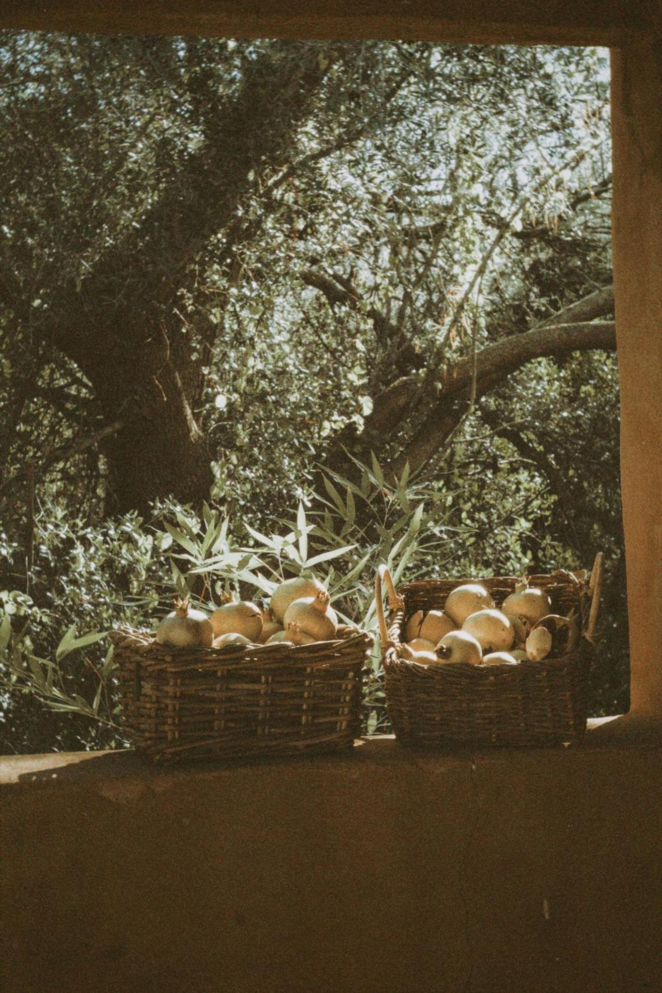 Agroturismo Can Torna Ag178 Esporles Εξωτερικό φωτογραφία